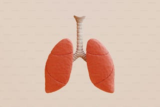 The small world of organ donation