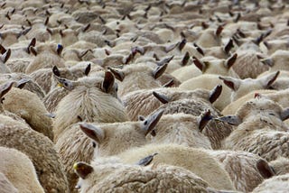 Configure JWT Authentication with Grafana