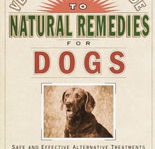 the-veterinarians-guide-to-natural-remedies-for-dogs-651367-1