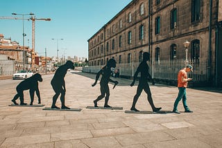 A Critical Examination of Evolution