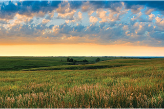 Destiny’s Dance: Willa Cather’s MY ANTONIA as Revelation