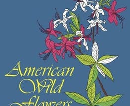 american-wild-flowers-coloring-book-41132-1