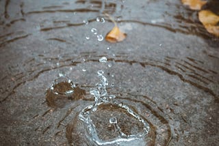 The Puddle and the Rain