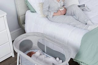 regalo-baby-basics-portable-infant-bassinet-gray-padded-insert-1