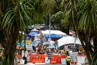 ‘We don’t deserve this’: Wellington students kept away from school by parliament protest