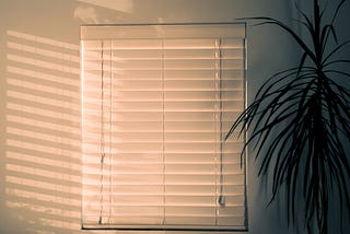 Learn Web Scraping To Get Insight — How Does Sun Exposure Affect Our Mental Health?