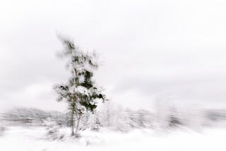 We Finally Had Our First Big Snow Storm of the Year