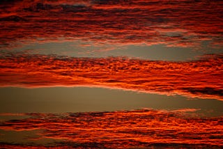 Bands of pink clouds stretching the horizon of a sunset.