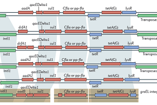 How mobile are antibiotic resistance genes found in the environment?