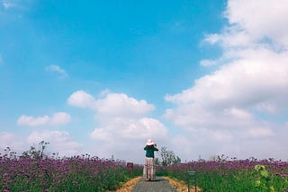 A woman looks off into the bright blue sky from a path through a field of wildflowers.