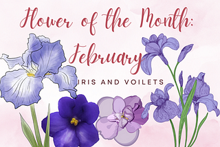 February Flowers: Violet and Iris