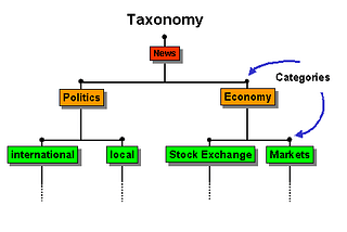 Taxonomies and Folksonomies in Social Media.