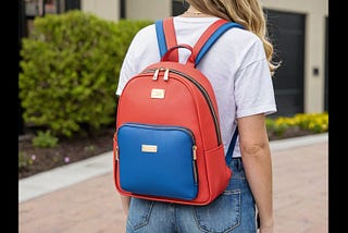 Backpack-Purse-1