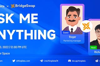 BridgeSwap bigest project $BRIS