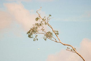 Grow is not always obvious