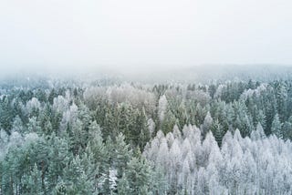 Winter Haiku