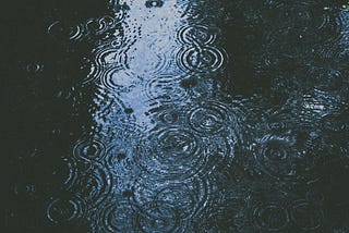 concentric circles of rain drops on water