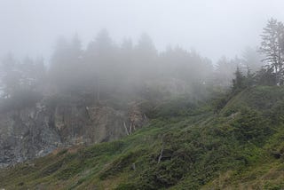 A landscape shot; featuring a forested cliff covered in fog.