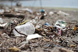 Taking a Closer Look at the #TrashTag Challenge