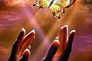 A butterfly flying upwards towards a source of light, guided by a pair of hands