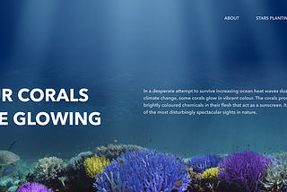 Enlisting UX Designers to Promote Ocean Sustainability