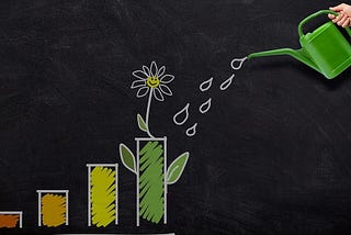 Welcome to the Little Sustainable Investor — Little Sustainable Investor