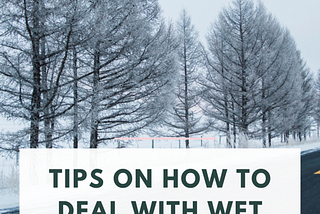 Tips on how to deal with wet cold winters — Issue #85