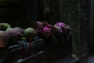 First They Killed My Father: A Daughter of Cambodia Remembers