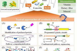 Synthetic Biology: Changing the way you eat your food!