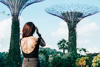 Singapore can stop the haze with sustainable palm oil