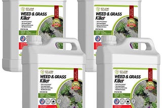 Eco-Friendly Pet Safe Weed Killer for Your Garden | Image
