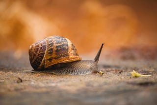 SNAIL 3.4