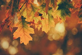 10 Things to Do this Fall to Uplift Your Mood