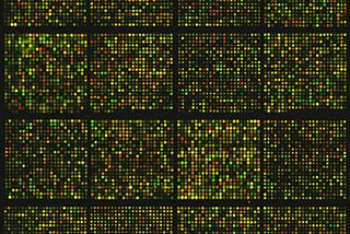 DNA Is a Code