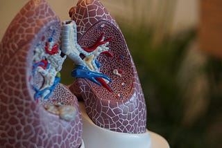 8 Health Tips for Lungs