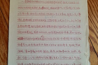 中國近現代歷史 蘆蕩小舟 六十年代 第十章 隔離審查 8 內鬥存照（2）