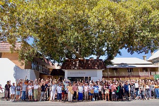 The Fig — The latest chapter