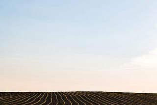 Soil Superheroes & Their Promising Role in Agricultural Production Systems