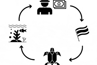 “Sergio” — A service design concept for sea turtle conservation projects