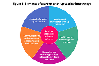 Catch-up Vaccinations & Sabin Vaccine Institute