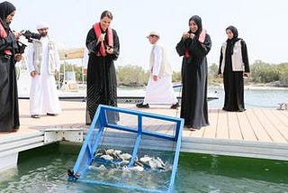 Rebuilding Abu Dhabi Fisheries — restoring livelihoods and food security