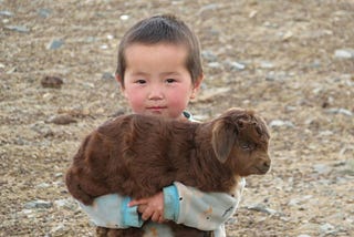 A small Asian child carried a brown lamb or baby goat in their arms, looking straight at the camera. against a plane dirt background.
