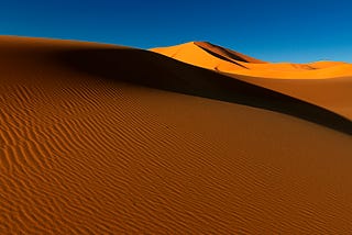 How a landscaping perennial inspired Dune