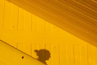 The Janitor’s Shadow