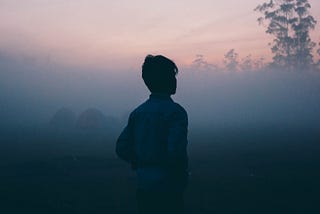 A silhoutte of a person looking out into a foggy nature scene.