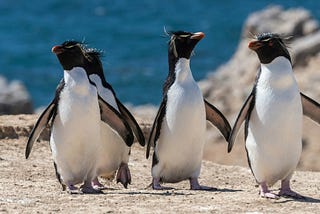 How To Clone Linux Distributions In Windows Subsystem For Linux (WSL)