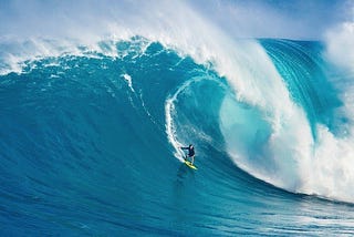 Project Managers riding the ’WAVE’