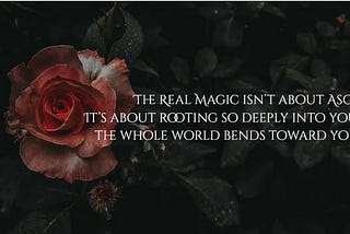 Grounded Magic Circle: You Ready to Dive Deeper?