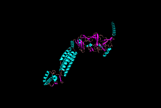 Rendering Deepmind’s Predicted Protein Structures for Novel Coronavirus 2019