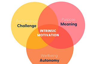 Why Intrinsic Motivation is Key for Retaining Top Talent
